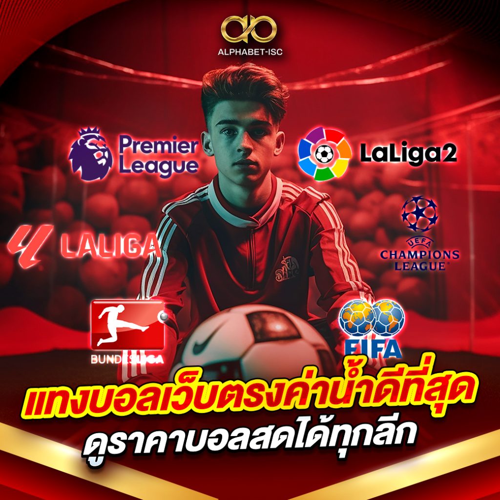 แทงบอลเว็บตรงค่าน้ำดีที่สุด